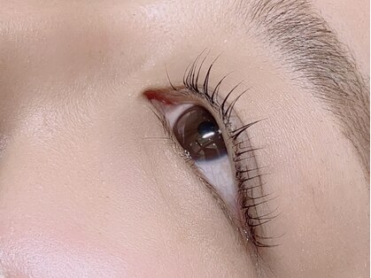 アンベリィ(In bellir)の写真