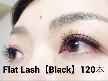 ハーゼ(Hase)/Flat Lash【Black】120本