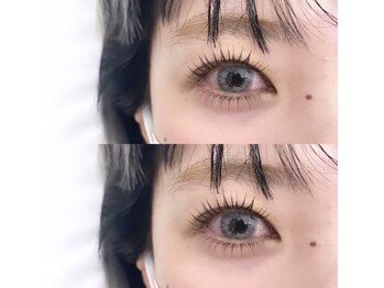 フランセス(Frances)/上下ラッシュリフト