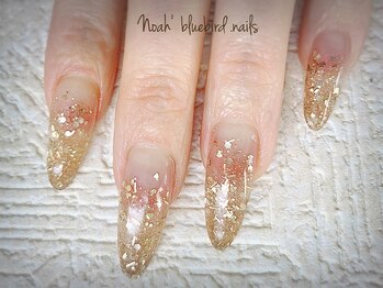ノアブルーバードネイルズ(Noah' bluebird .nails)/グラデーション・スカルプチャー