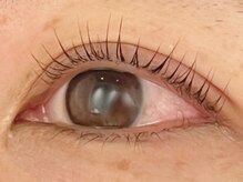 カラン 焼津店(CALIN)/ラスティングカール