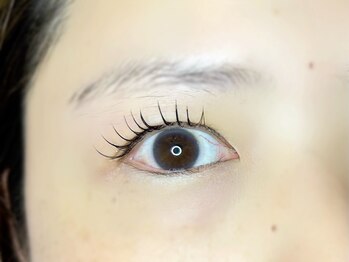 フェリーズ(Feliz)/フラットラッシュ