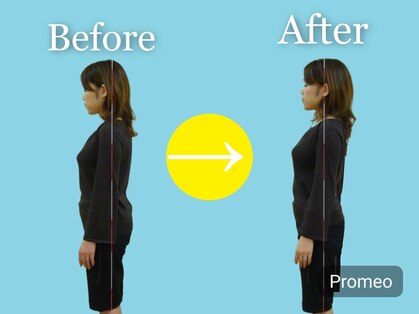 セントラル健康カイロの写真