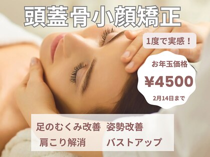 チチ(Chichi)の写真