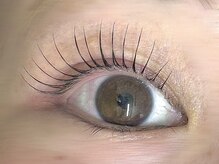 キト(QUITO)/まつげパーマ