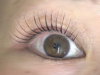 キト(QUITO)/まつげパーマ