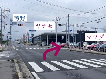 ルピナス(Lupinus.)/【道案内】国道１９号からの案内