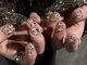 ジョジョ ネイル アット サンノミヤ(JOJO Nail at Sannomiya)の写真