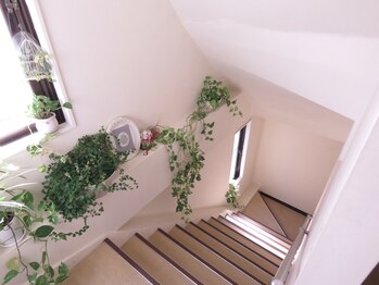 スリーピース(3PEACE)/内階段♪