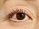 ネイルアンドアイラッシュ ベンズ(Bens)の写真/【ラッシュアディクトでまつ毛のハリやコシUP！】高技術×スピーディーに施術を行います♪