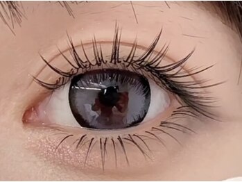 エルン(Elun)/LEDマツエク フラットラッシュ