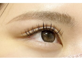 シュシュ(chou chou)/フラットラッシュ120本/マツエク