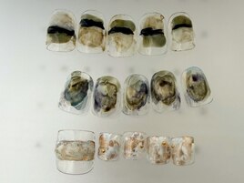 1月定額デザインアート