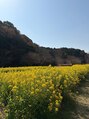 パウワウ 千葉センシティ店(POWWOW)&nbsp;二十一世紀の森の菜の花です。自然豊かで広くて、おすすめです！
