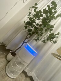 サロンの雰囲気