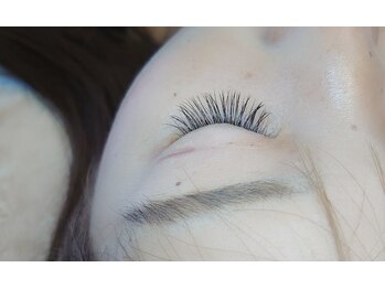 プラン アピ(plan api)/フラットラッシュ120本