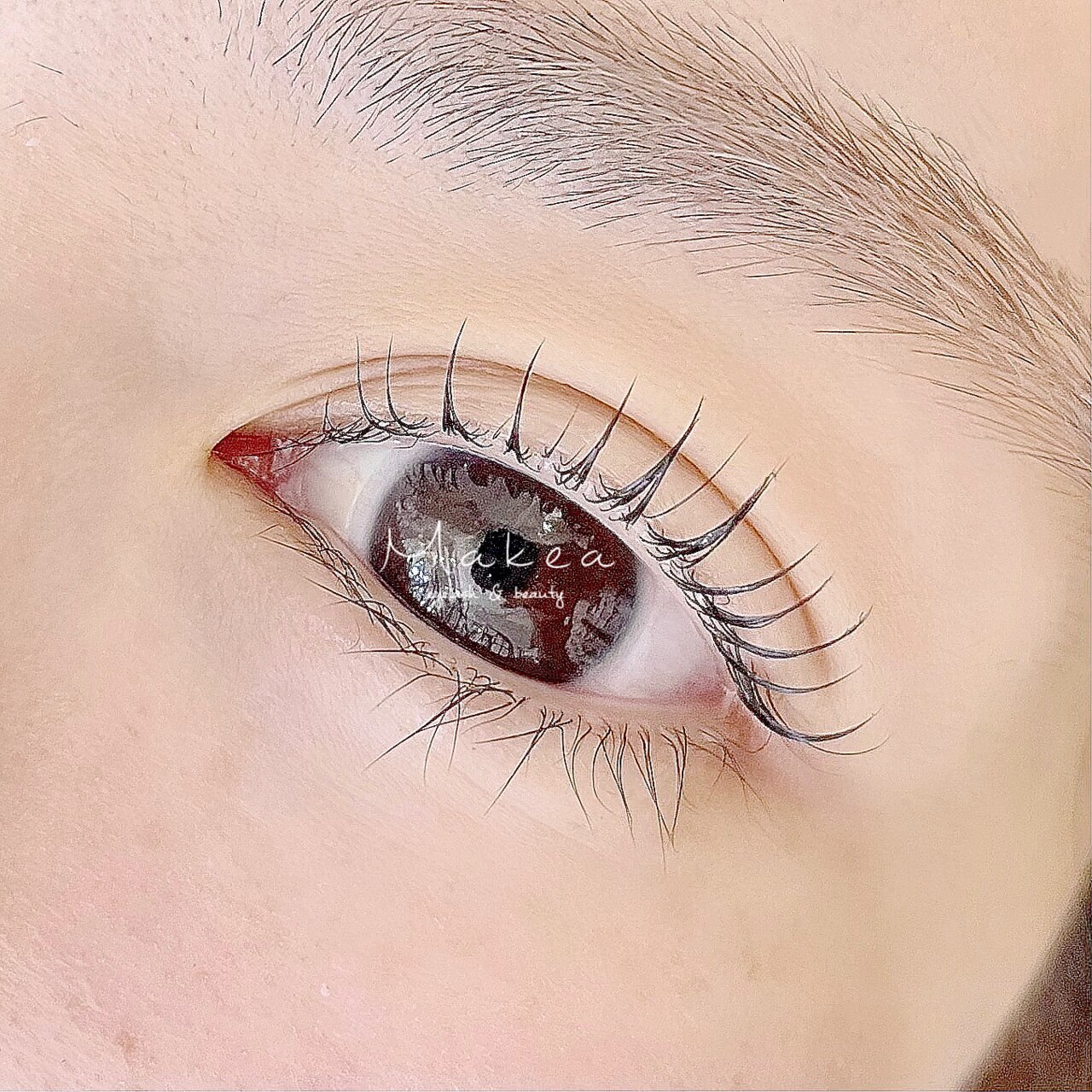 【平日限定】パリジェンヌラッシュリフトorまつげパーマ\5590→5000