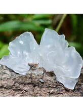 プラチナローズ(Platinum Rose)/Shield 72