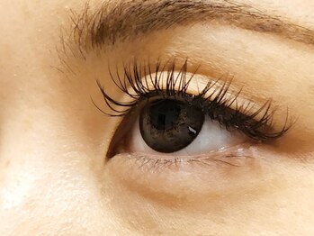 ウルカ アイラッシュ(uruka EYELASH)/フラットラッシュ 160本