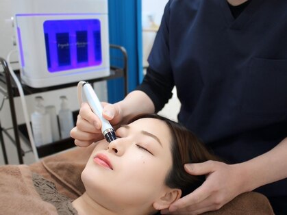 フェリス(Feliz)の写真