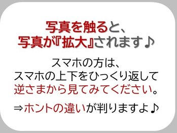 エピファニー(Epiphany)/脳の認知バイアスが解除され…
