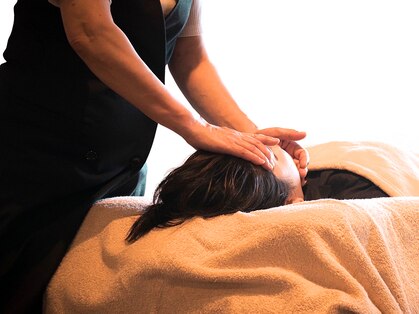 チチ(Chichi)の写真