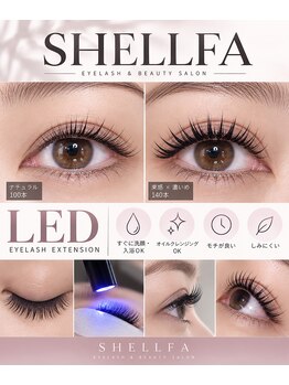 シェルファ(Shellfa)の写真/LEDエクステ導入サロンで理想のボリューム目元へ！持ちが良い仕上がりを体感♪