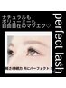 【まつ毛が少なくなってきた方に!】パ-フェクトラッシュ100束(200本) 7,200円