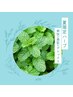 【数量限定】夏限定ハーブよもぎ蒸し40分　美肌・デットクス効果＋よもぎ茶付