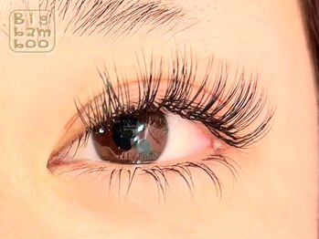 ビッグバンブー (Big bamboo)/メガフラット上下300本