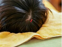 ふくろうの樹治療室/