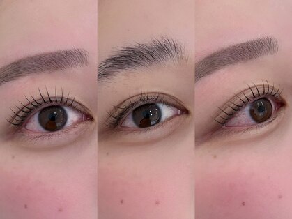 コノメ(KONOME)の写真