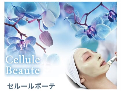 フェザー(Feather)の写真