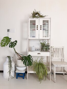 ボディスリム/*応接ルーム*