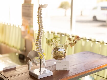 カイロプラクティックまるりの写真