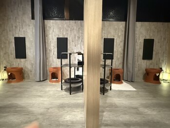 ソルナ 吉塚(SOLUNA)/4席「ファンジン」黄土座器