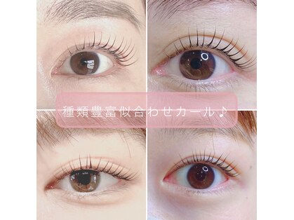 ニコ(Niko)の写真