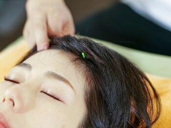 ふくろうの樹治療室/
