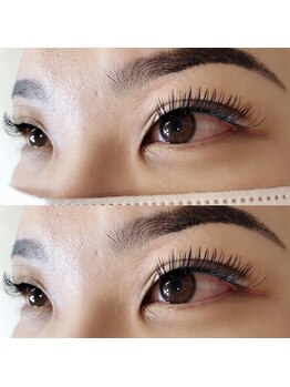 アイラッシュアンドコー(eyelash&co.)/フラットセーブル180本