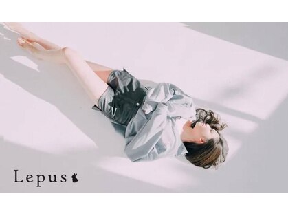 レプス(Lepus)の写真