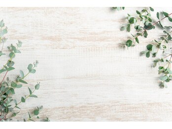 アイビー(Aibey)/