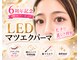 美アイズ リッチラッシュ(Rich Lash)の写真/あなただけのスタイルを実現！仕上がり直後から美しいラインが続き、一本一本丁寧な装着でモチが長続き♪