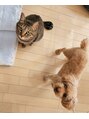 ルワン(Luwan)&nbsp;仲良しかよく分からない愛犬猫おやつの時はしっかり仲良く待機