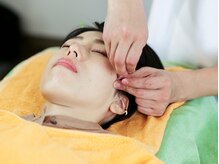 ふくろうの樹治療室/