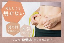 ヨサパーク マシマシ(YOSA PARK mashi-mashi)