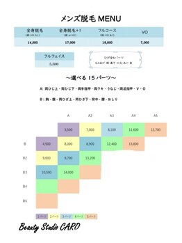 カーロ(CARO)/メンズ脱毛メニュー