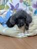 【初めての方】どのメニューがいいかわからない方はこちら◎【相談＋施術】