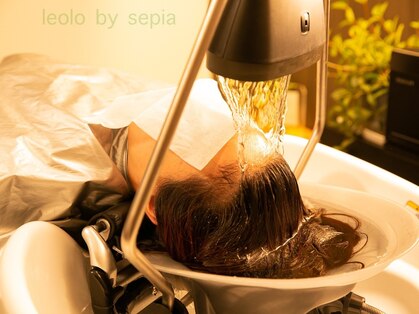 レオロ(leolo)の写真