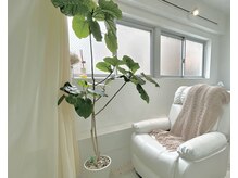 ルーツ 巣鴨店(roots)/施術スペース