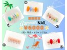 期間限定！SUMMERNAIL